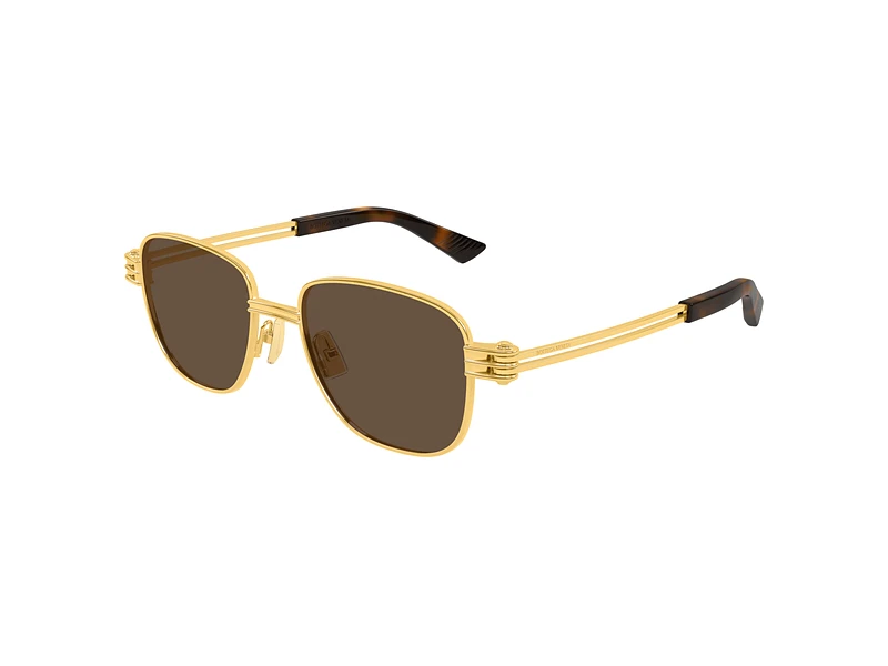 Bottega-Veneta-BV1380S-003_with_bgc