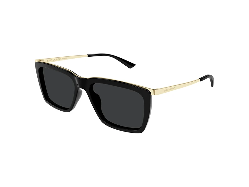 Saint-Laurent-SL-765-001_with_bgc