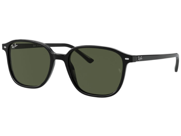 RAY BAN RB 2193 LEONARD 901/58