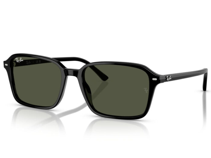 RAY-BAN RB 2231 RAIMOND 901/31