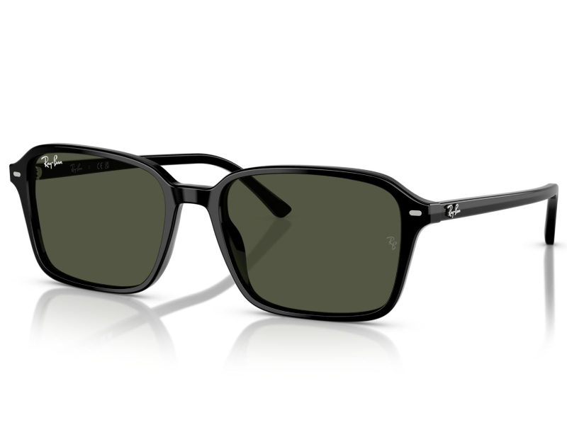 ray-ban-Raimond-RB2231-90131-56_2 (1)
