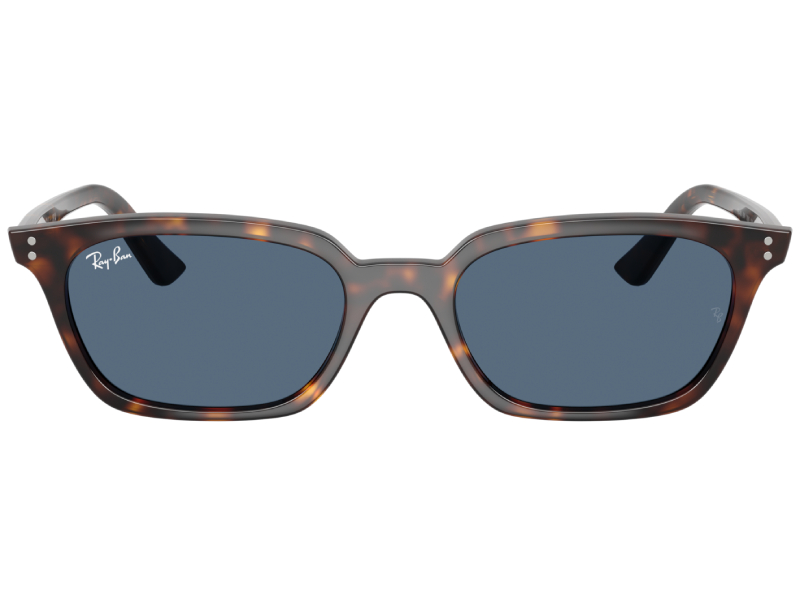ray-ban-zaya-bio-based-rb4456-135980-53-19-havana (1) (1)