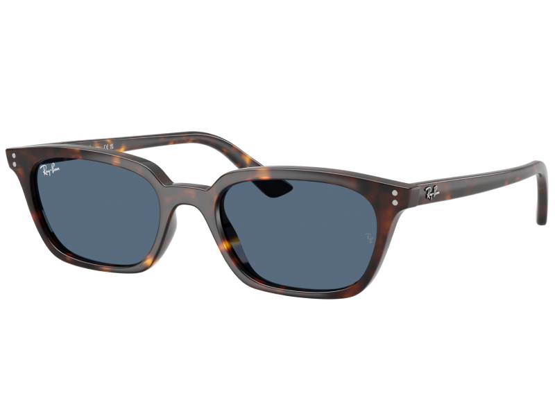 ray-ban-zaya-bio-based-rb4456-135980-53-19-havana (3)