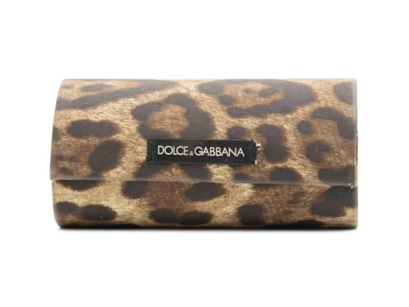 DGcasesimple_cropped