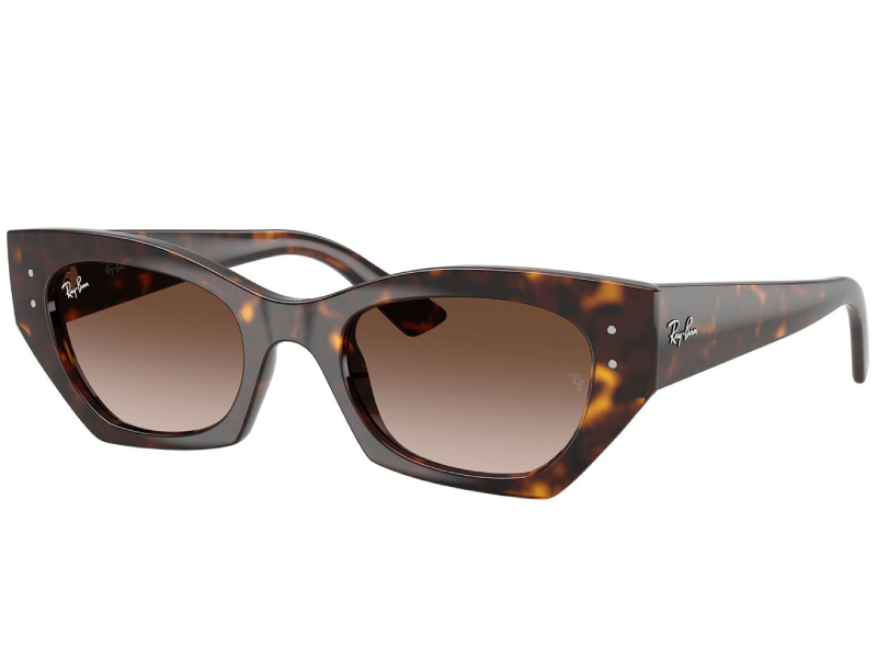 rayban-rb4430-135913-image-1 (1)
