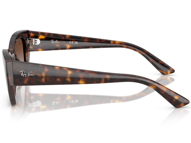 rayban-rb4430-135913-image-2 (1)